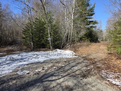 Prime 6.42-acre property conveniently located near downtown - photo 5