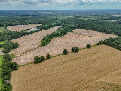 EXECPTIONAL 156.22-acre property offering country living - photo 16