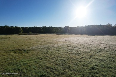 White Oak 266 is a 266+/- acre tract in Hinds County right on - photo 16