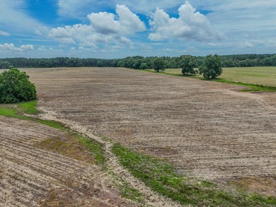 EXECPTIONAL 156.22-acre property offering country living - photo 17