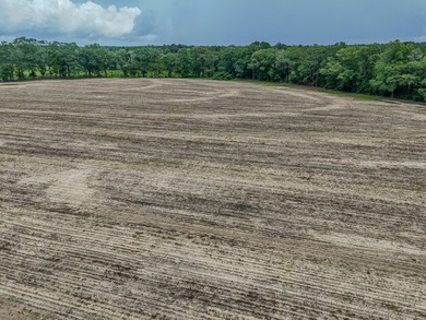 EXECPTIONAL 156.22-acre property offering country living - photo 18