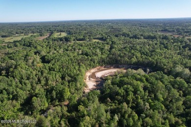 White Oak 266 is a 266+/- acre tract in Hinds County right on - photo 18
