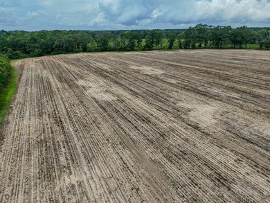 EXECPTIONAL 156.22-acre property offering country living - photo 19