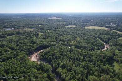 White Oak 266 is a 266+/- acre tract in Hinds County right on - photo 19