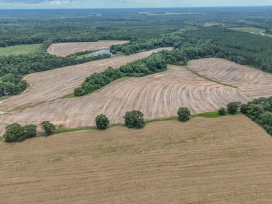 EXECPTIONAL 156.22-acre property offering country living - photo 20