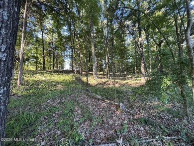 White Oak 266 is a 266+/- acre tract in Hinds County right on - photo 20