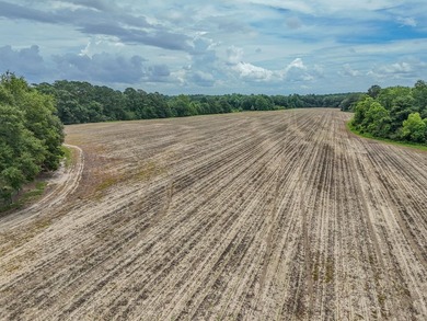 EXECPTIONAL 156.22-acre property offering country living - photo 21