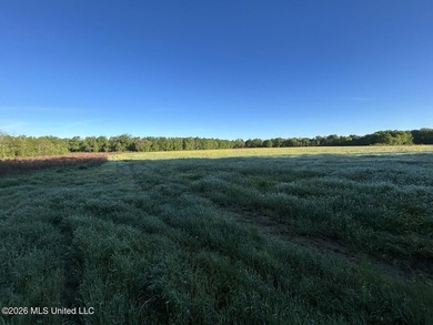 White Oak 266 is a 266+/- acre tract in Hinds County right on - photo 22