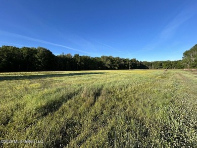 White Oak 266 is a 266+/- acre tract in Hinds County right on - photo 23