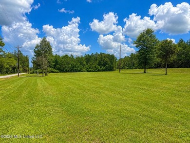 Excellent commercial opportunity in the growing Hurley/Wade - photo 3