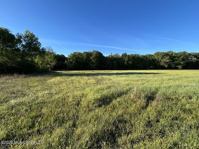 White Oak 266 is a 266+/- acre tract in Hinds County right on - photo 24