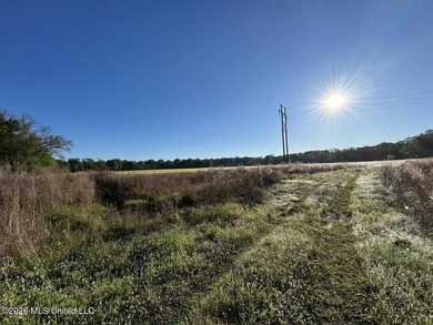 White Oak 266 is a 266+/- acre tract in Hinds County right on - photo 25