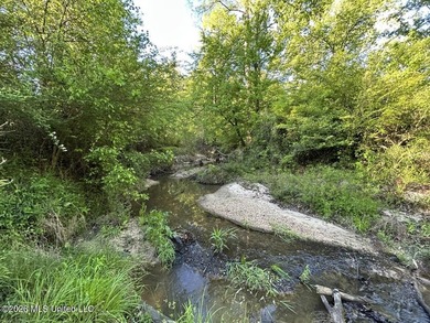 White Oak 266 is a 266+/- acre tract in Hinds County right on - photo 28