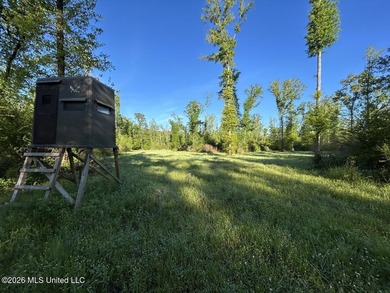 White Oak 266 is a 266+/- acre tract in Hinds County right on - photo 29