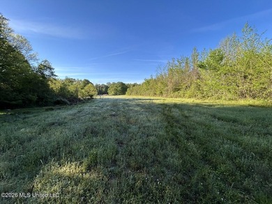White Oak 266 is a 266+/- acre tract in Hinds County right on - photo 30