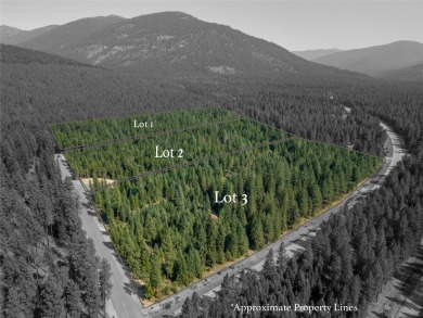 Lake Acreage For Sale in Yaak, Montana