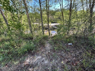 White Oak 266 is a 266+/- acre tract in Hinds County right on - photo 36