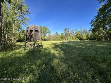 White Oak 266 is a 266+/- acre tract in Hinds County right on - photo 37