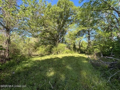 White Oak 266 is a 266+/- acre tract in Hinds County right on - photo 38