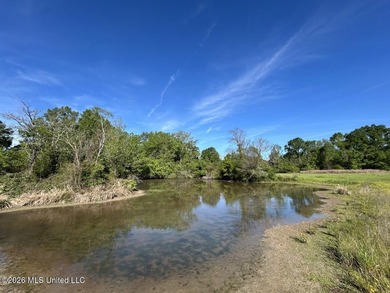 White Oak 266 is a 266+/- acre tract in Hinds County right on - photo 39