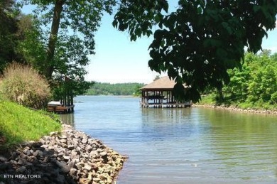 Lake Lot For Sale in Friendsville, Tennessee