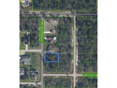 Lake Placid - Highland County Lot For Sale in Lake Placid Florida