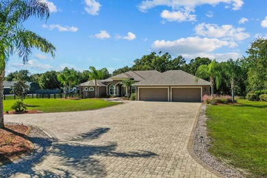 Lake Seneca Home For Sale in Eustis Florida