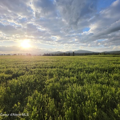 Build your dream rural escape with ultimate freedom on Harrison - photo 14