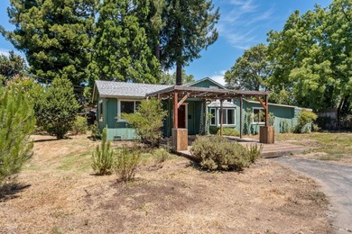 single story home on double flat lot just minutes to downtown - photo 1