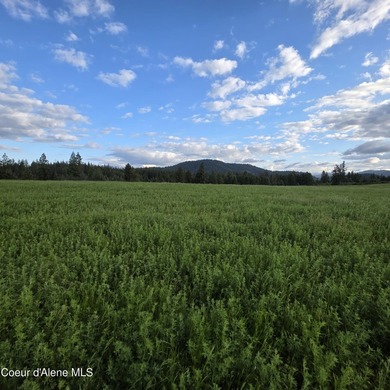 Build your dream rural escape with ultimate freedom on Harrison - photo 31