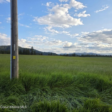 Build your dream rural escape with ultimate freedom on Harrison - photo 34