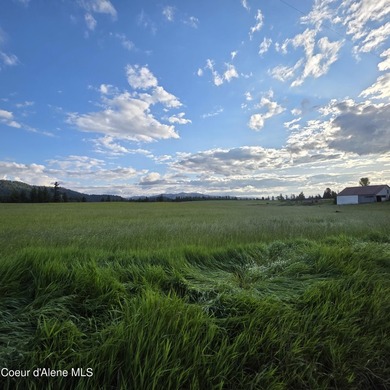 Build your dream rural escape with ultimate freedom on Harrison - photo 36