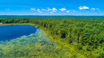 Lake Acreage For Sale in Glen Spey, New York