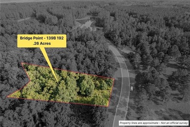 Build your dream coastal retreat on this 0.26-acre lagoon-front - photo 1