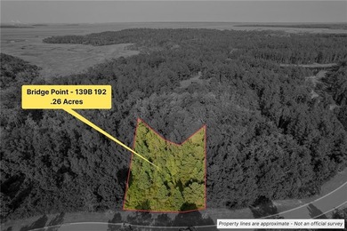 Build your dream coastal retreat on this 0.26-acre lagoon-front - photo 2