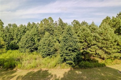 Build your dream coastal retreat on this 0.26-acre lagoon-front - photo 3