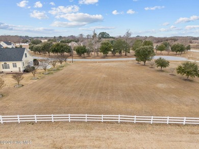 Build your dream home on this beautifully cleared 0.39-acre lot - photo 3