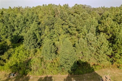 Build your dream coastal retreat on this 0.26-acre lagoon-front - photo 4