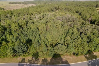 Build your dream coastal retreat on this 0.26-acre lagoon-front - photo 5