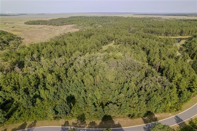Build your dream coastal retreat on this 0.26-acre lagoon-front - photo 6