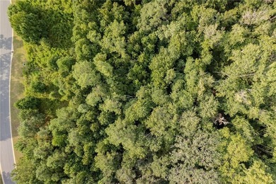 Build your dream coastal retreat on this 0.26-acre lagoon-front - photo 7