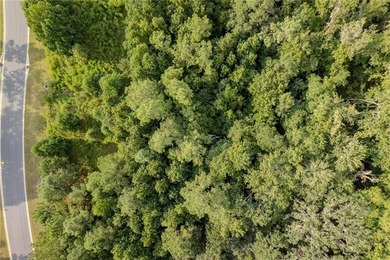 Build your dream coastal retreat on this 0.26-acre lagoon-front - photo 8