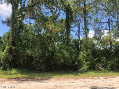 (private lake, pond, creek) Lot For Sale in Montura Ranches Florida