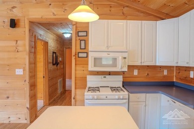 This is a 2 bedroom 1 full bath cabin with natural gas heat pump - photo 4