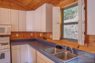 This is a 2 bedroom 1 full bath cabin with natural gas heat pump - photo 5
