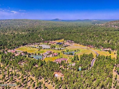 Breathtaking 1.01 ace lot in Prestigious Gated Community Of - photo 10