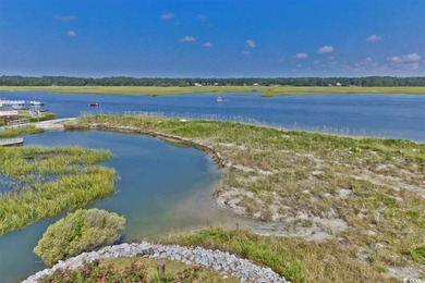 Gorgeous Marina views from this updated 2-bedroom, 2 bath END - photo 43