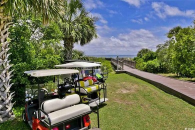 Gorgeous Marina views from this updated 2-bedroom, 2 bath END - photo 44