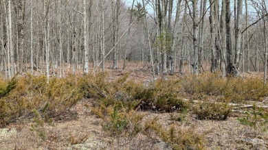 Lake Acreage For Sale in Jewett, New York