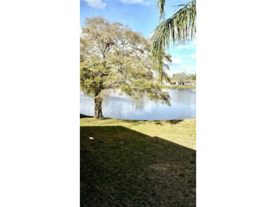 Lake Conley Condo For Sale in Holiday Florida